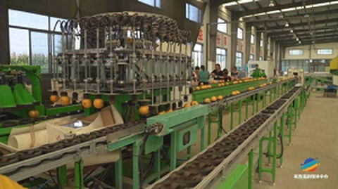 Форум услуга о пореклу прве стандардизације воћа