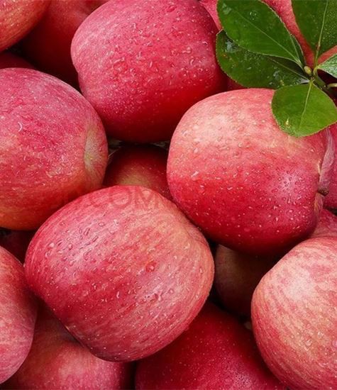 Све врсте јабука